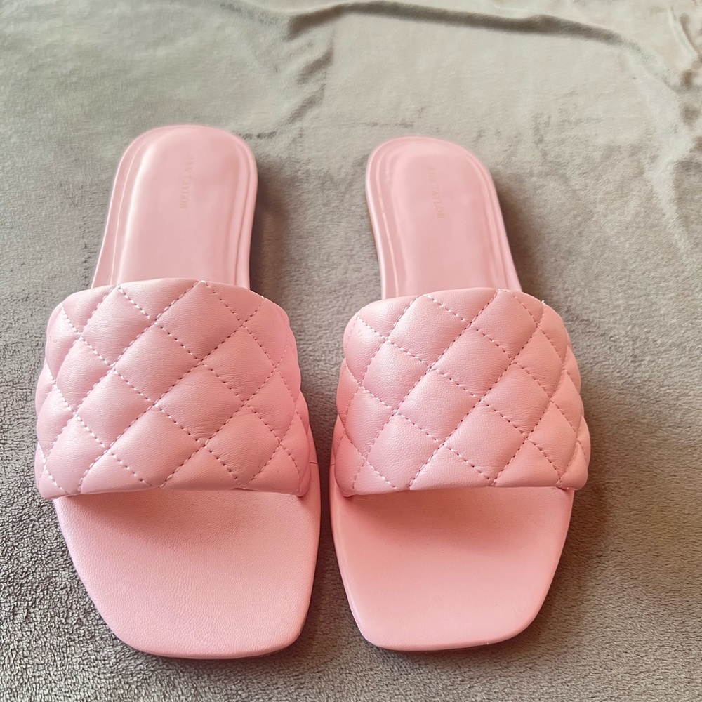 Ann Taylor slides